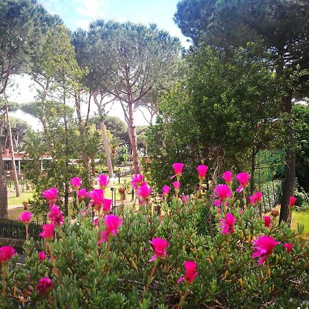 Casa Margherita Affittacamere B&B Follonica Εξωτερικό φωτογραφία